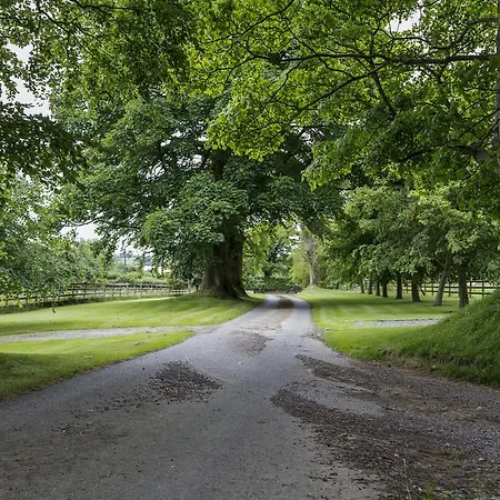 Bed & Breakfast College Hill House 4*