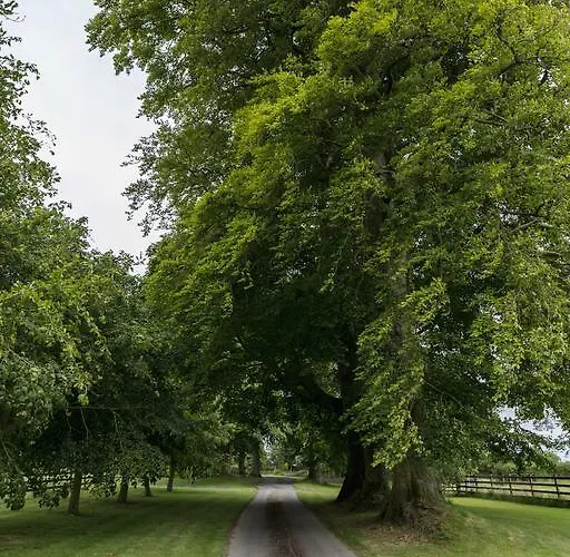 Couette-café College Hill House